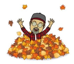 Sisbro Bob Playing in Leaves