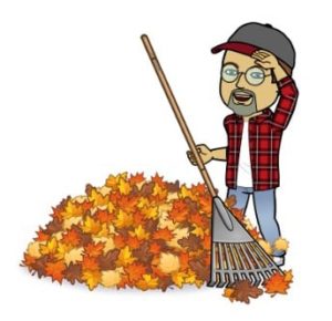 Sisbro Bob Raking Leaves